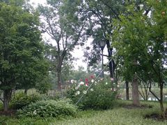 WP_20140713_005-阳澄湖费尔蒙酒店颐丰阁中餐厅(马鞍山西路店)