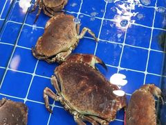 -塔湾北行农贸市场