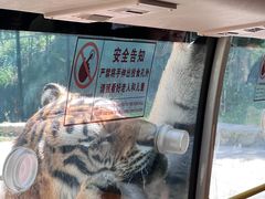 -栾川竹海野生动物园