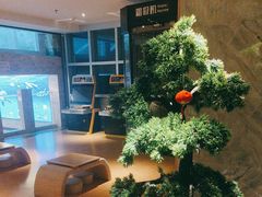 -水立方国际汤泉(六一中路店)