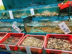 水产区-新享乐海鲜(翠华路店)