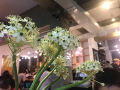 -Nectar One Cafe(勇烈路n1店)
