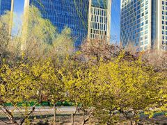 -元大都城垣遗址公园