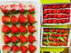 -海吉星国际农产品物流管理有限公司