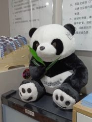 -维秘形体医美 M·VVON医生集团