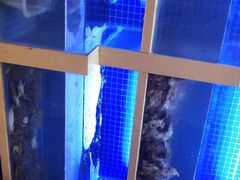 -农家霸王地锅鸡(国顺东路店)