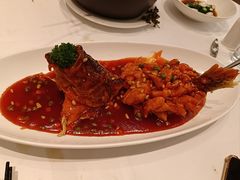-圆苑(静安寺店)