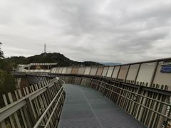 -福道