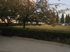 -南京晓庄学院(莫愁校区)
