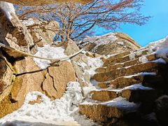 -崂山巨峰游览区