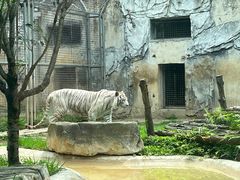 -黔灵山公园