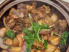 -海港酒家(上水新丰店)