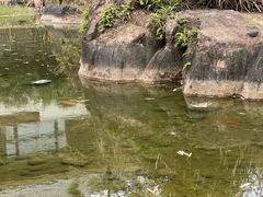 -福建鲤鱼洲酒店