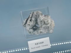 -中国地质博物馆