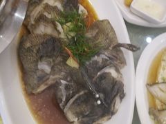 清蒸龙胆鱼-旺达·福州菜(正大广场店)