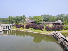 -青龙湖公园