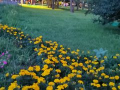 -长春公园(普阳街道)