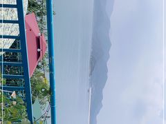 -望湖烤鱼