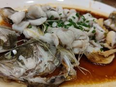 -黄埔华苑酒家(黄埔店)