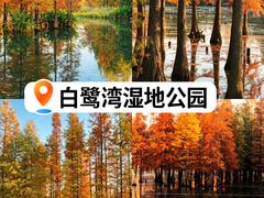-白鹭湾湿地公园
