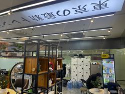 点击看大图 -藤野造型