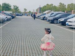 -菊园百果园