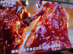 -长润·濑尿烧鹅