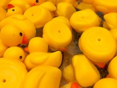 -环球中心海洋乐园