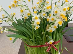 -鼎泰丰(当代商城店)