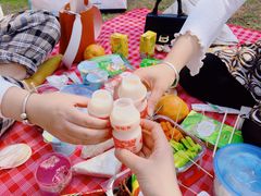 -长白岛森林公园