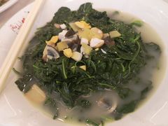 枸杞叶-万山楼海鲜酒家·二十三年老字号
