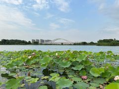 -澹台湖公园