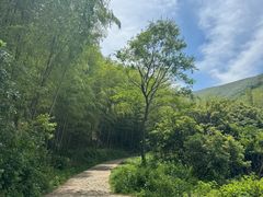 -梧桐山风景名胜区