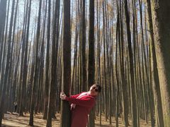 -山王坪喀斯特国家生态公园