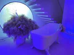 -白噪音White Noise·798概念店