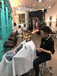 -Hair ART造型沙龙