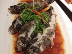 -七仙岭君澜度假酒店·桃源小馆中餐厅