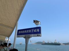 -海驴岛(荣成市)