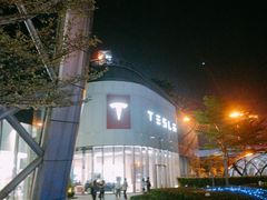 -TESLA 特斯拉(广州天环广场体验店)