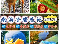 -南海子公园