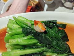 -金美华轩(东方路齐鲁店)