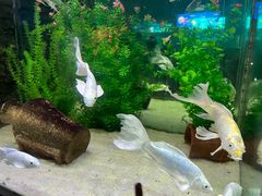 -洛阳龙门海洋馆