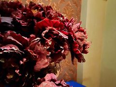 -金悦Spa专业足疗按摩(金沙直营店)