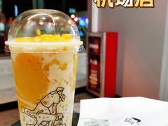 多肉芒芒甘露-喜茶(广州白云机场T2出发厅店)