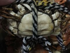 -喜洋洋蟹庄(阳澄湖店)