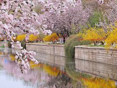 -海棠花溪(元大都城垣遗址公园)