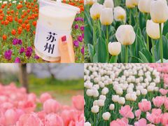 -苏州上方山国家森林公园