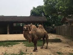 -南昌动物园