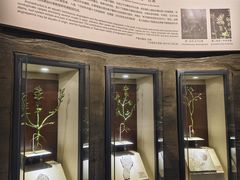 -辽宁古生物博物馆