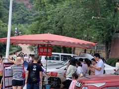 -桃源山庄·水蜜桃采摘·柴火鸡·烧烤团建(龙泉山店)